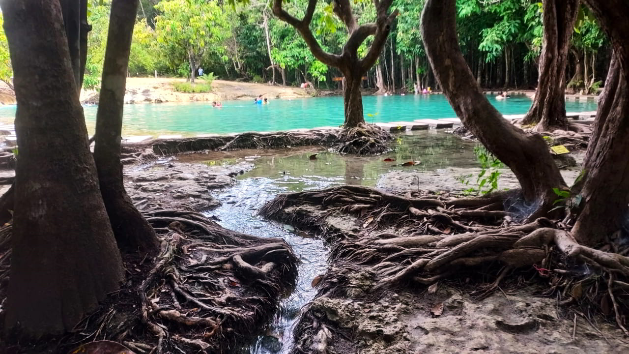Guide de l'Emerald Pool à Krabi : Infos Pratiques