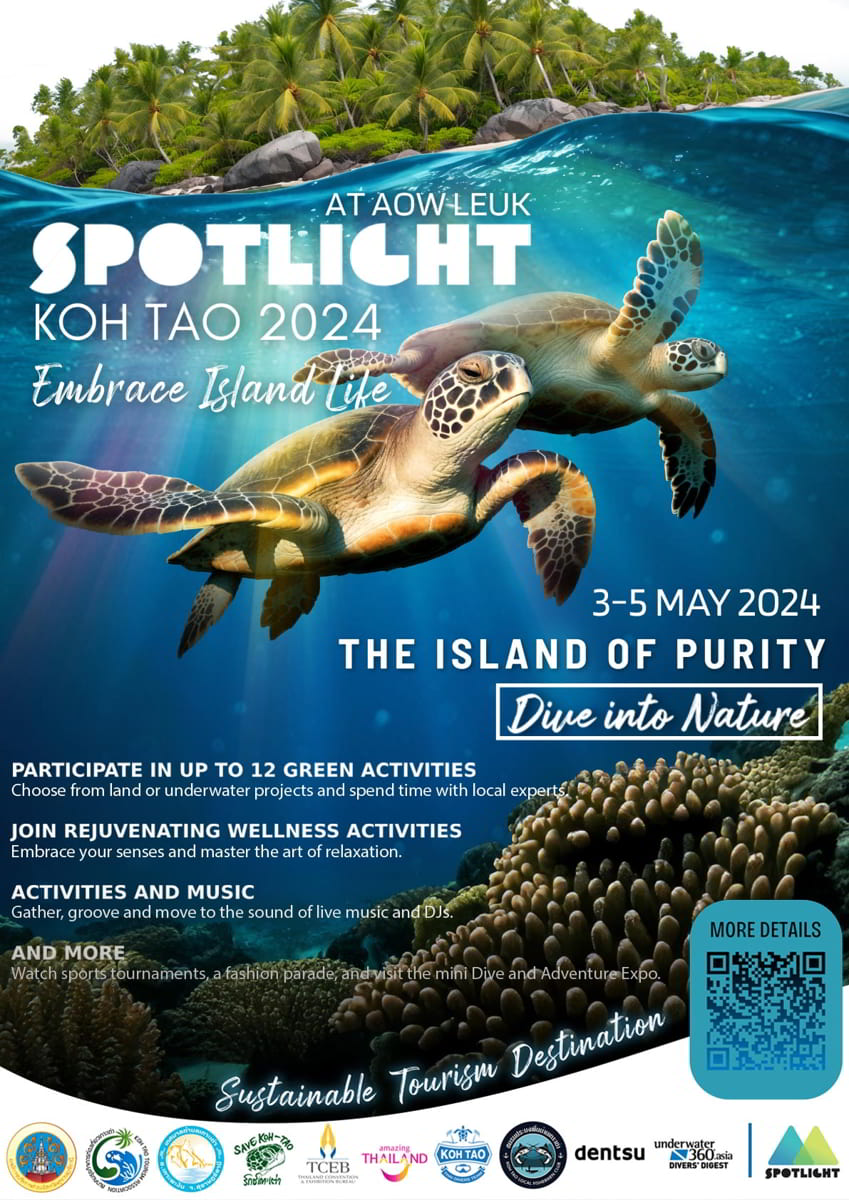 Spotlight Koh Tao 