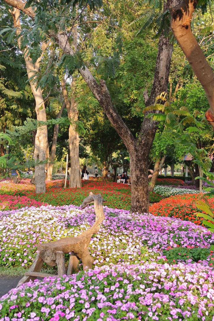 Bangkok, visite du parc Suan Luang Rama IX