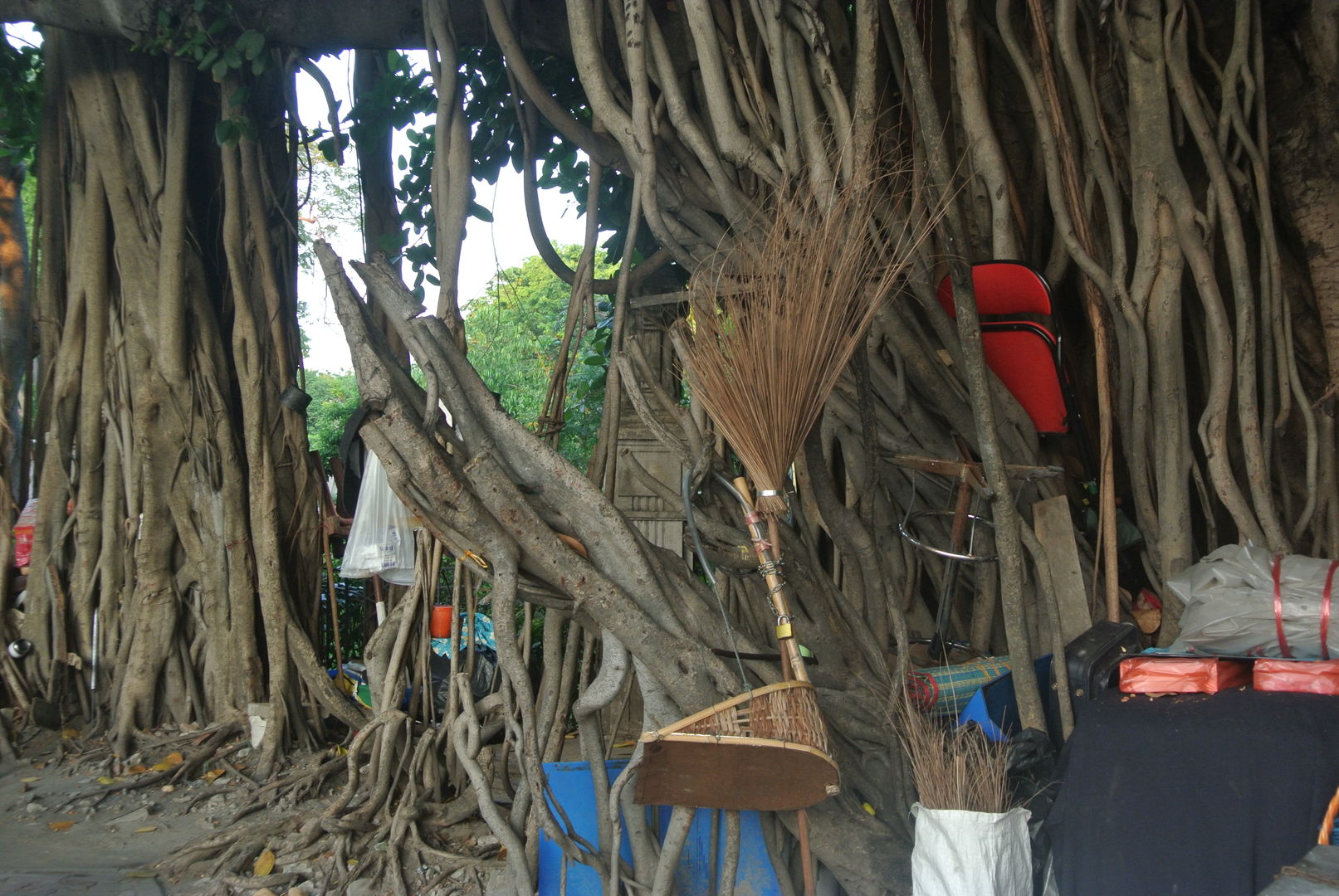 banyan-tree-asia