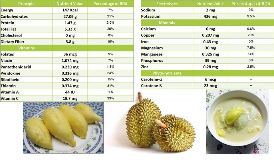 Le durian et ses apports nutritionnels