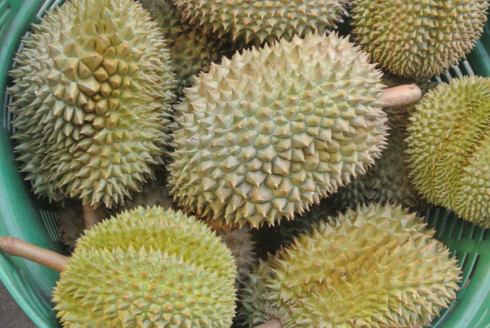 Le durian ça pue et ça tue !