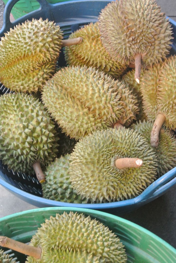 Le durian, fruit qui pue, fruit qui tue - Le Manger