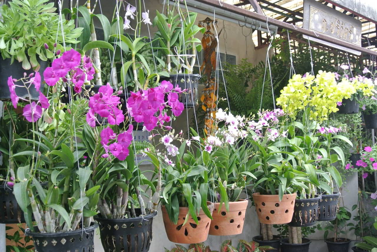 Le petit marché aux fleurs de Thewet