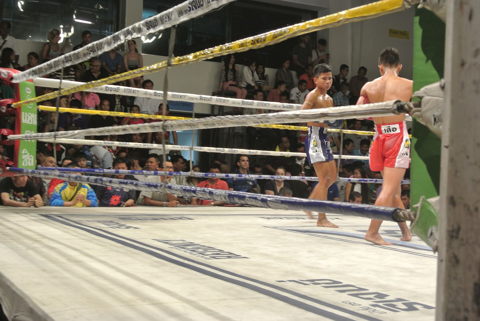Boxe thaïe, où voir des combats de muay thai ?