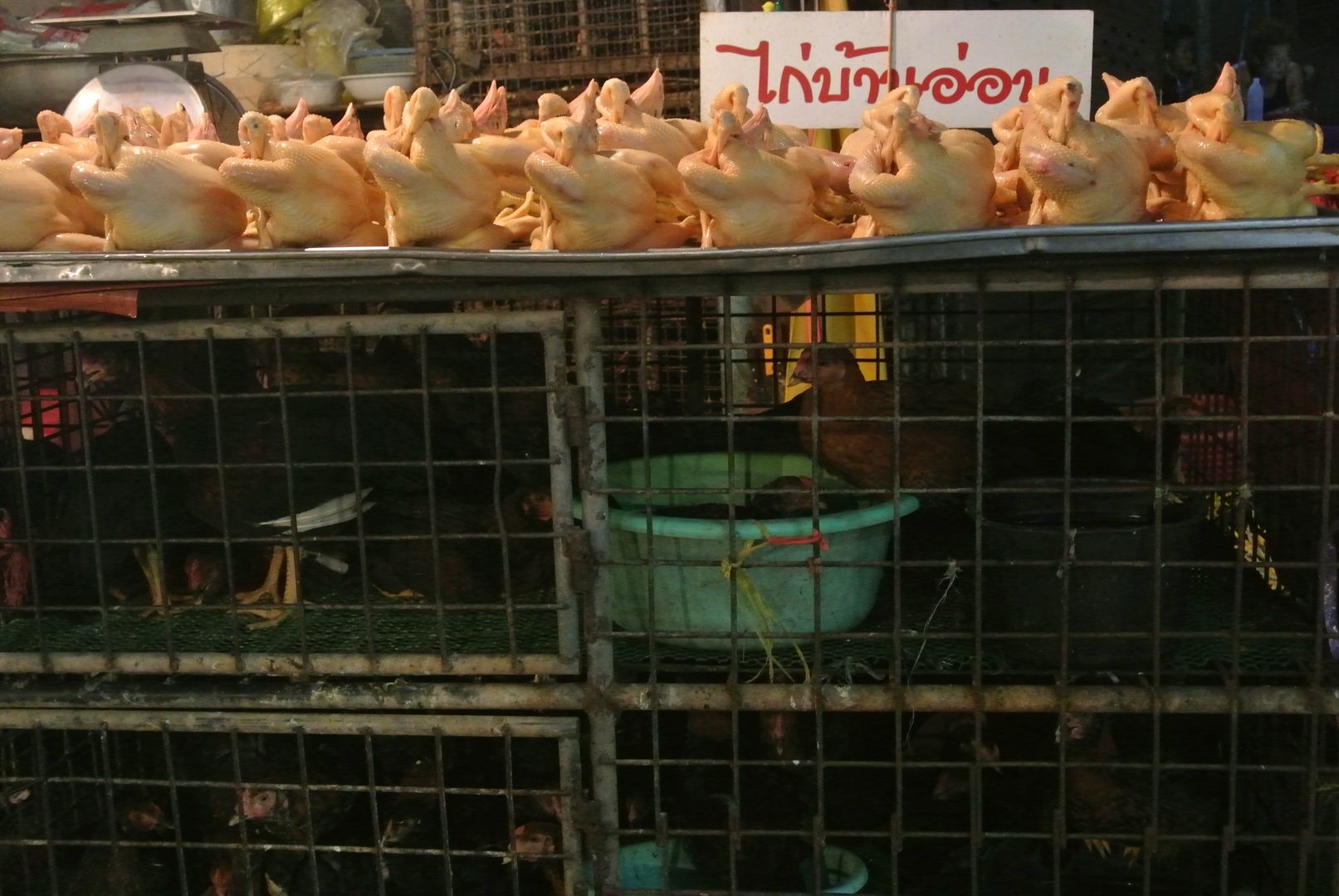 Le marché de nuit Khlong Toei