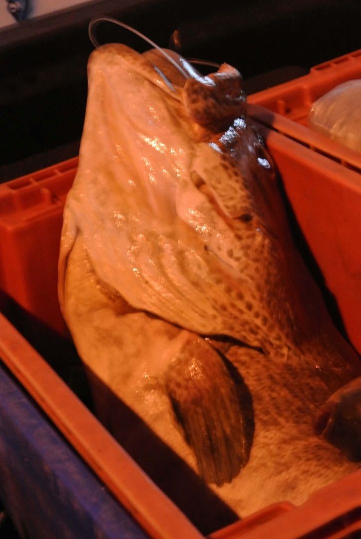 Le marché aux poissons de Bangkok
