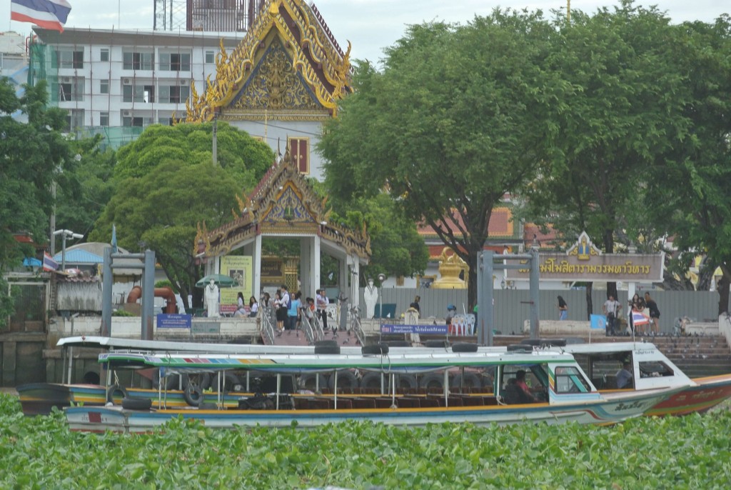 Bangkok, l’envahissement des jacinthes d’eau