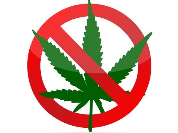 Thaïlande, vers une utilisation du cannabis thérapeutique ?