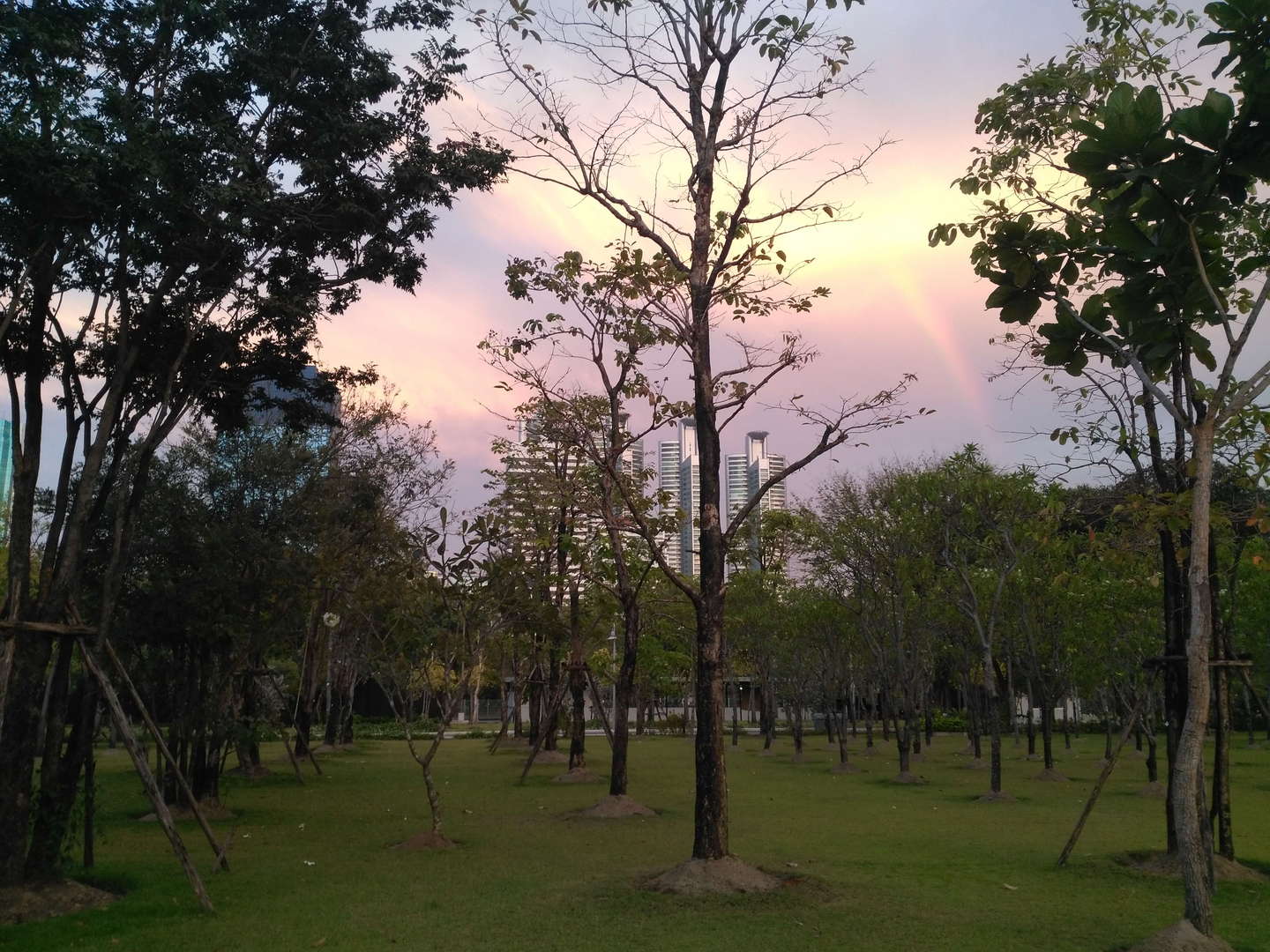 Un Parc qui ne dit pas son nom : Suan Pa Benjakitti