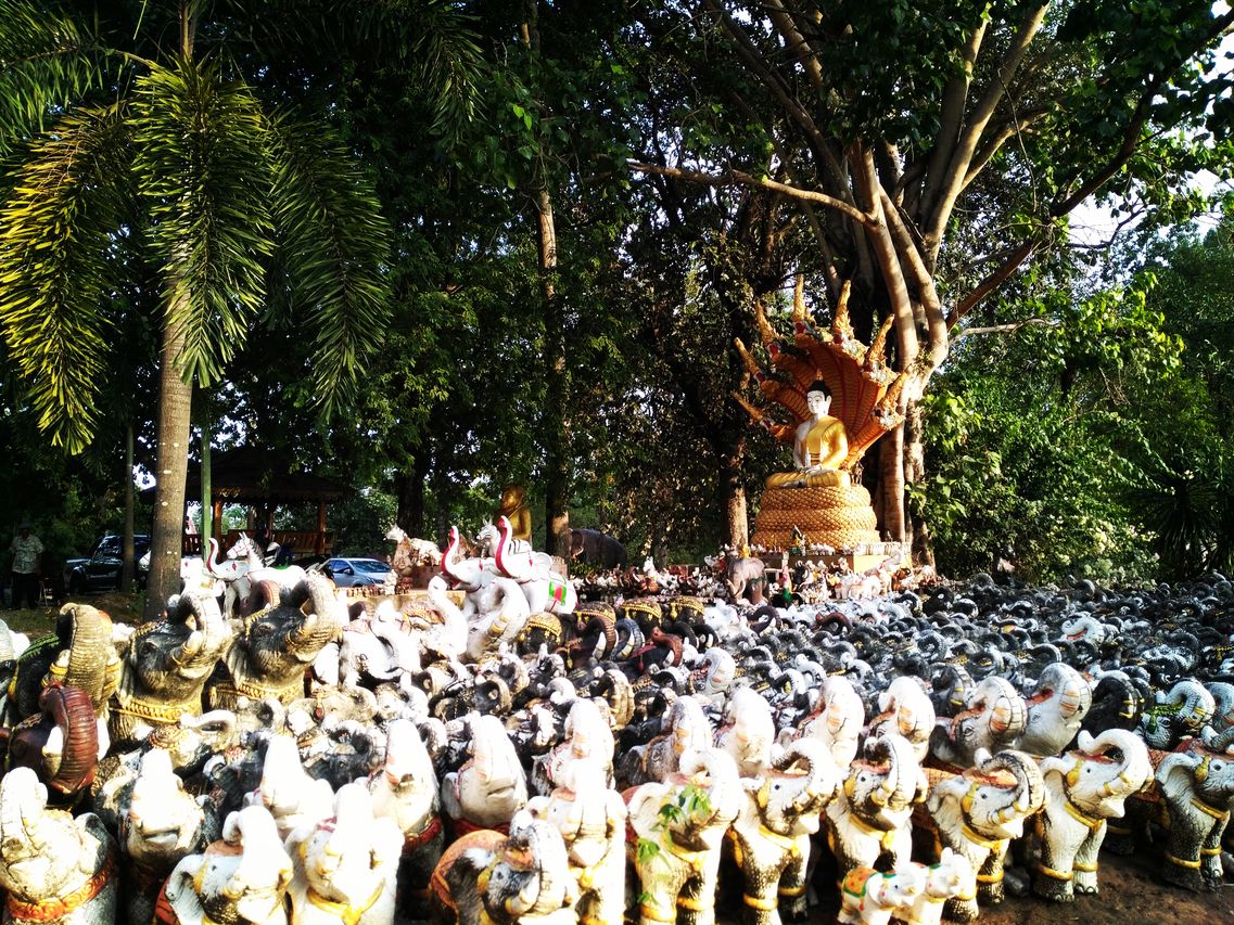 Wat Pa Kham Hua Chang Khon Kaen Thailand