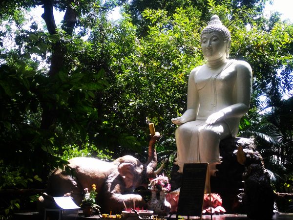 Khon-Kaen-Wat-Pa-Thamma-Utthayan (25)
