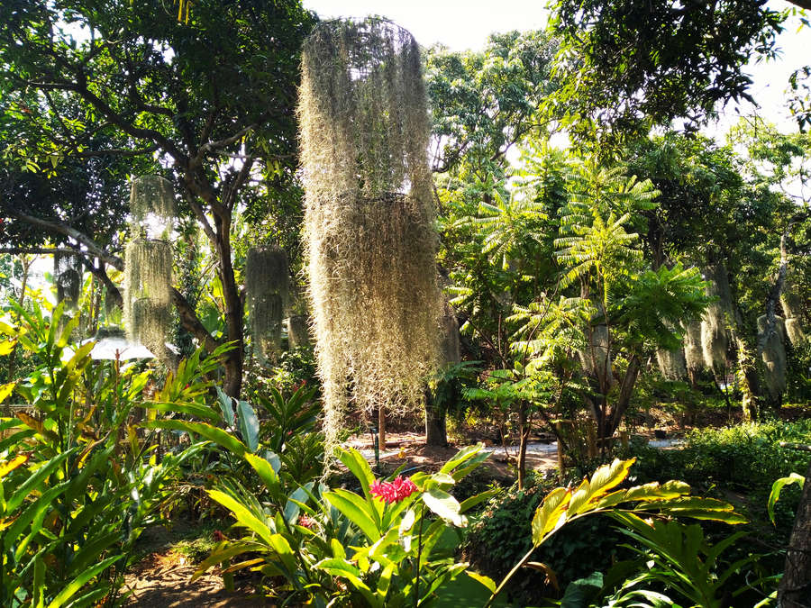 poomjai garden bangkok (2)