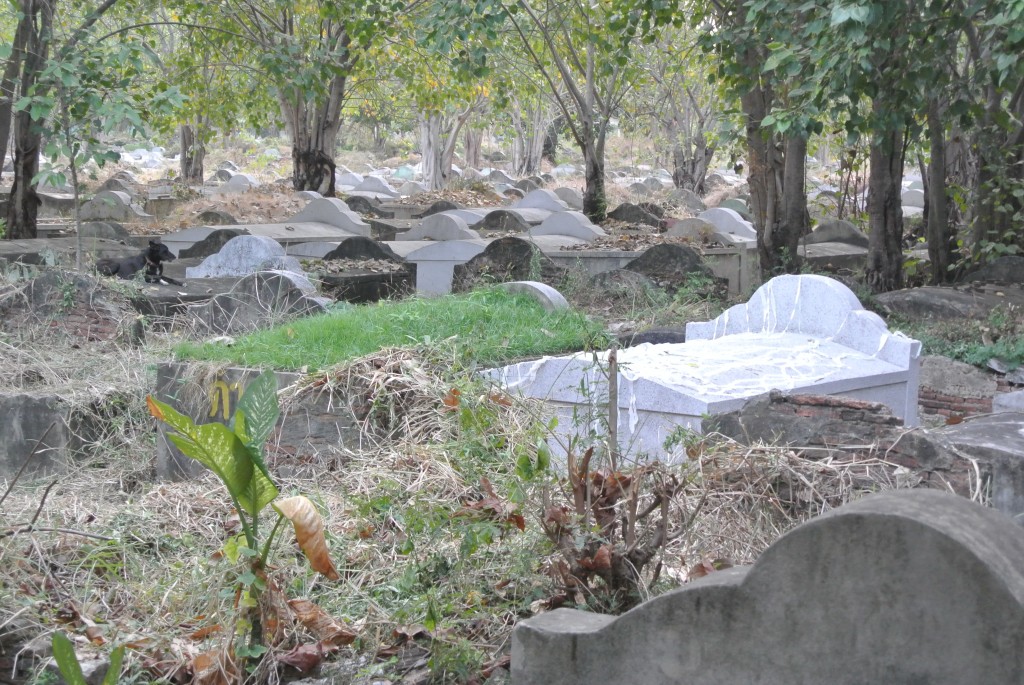 bangkok chines cimetery (21)