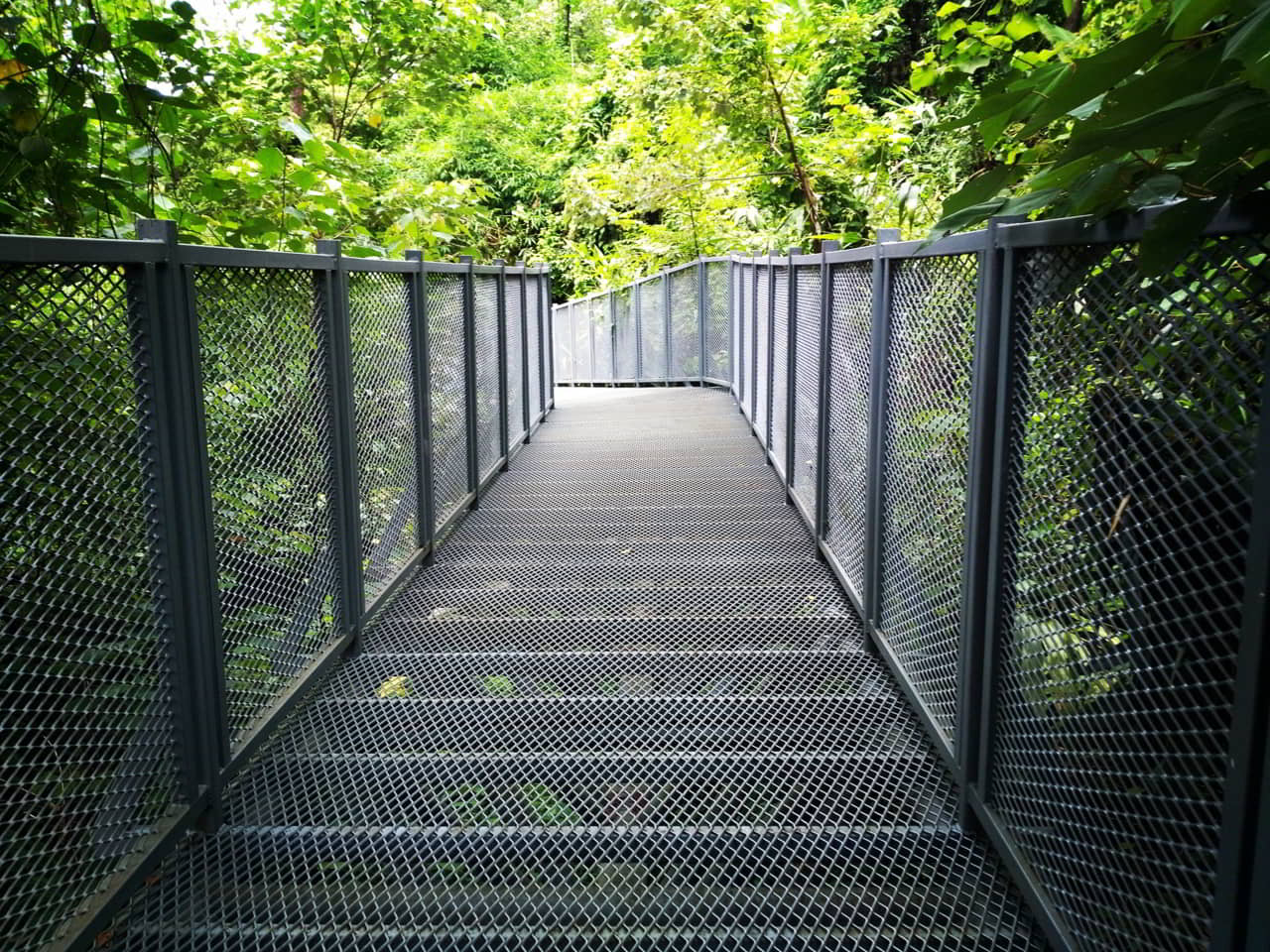 canopy-walkway-chiang-mai