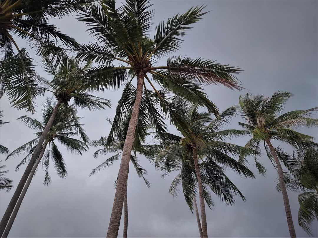 Koh Mak, l’île aux palmiers – épisode 1