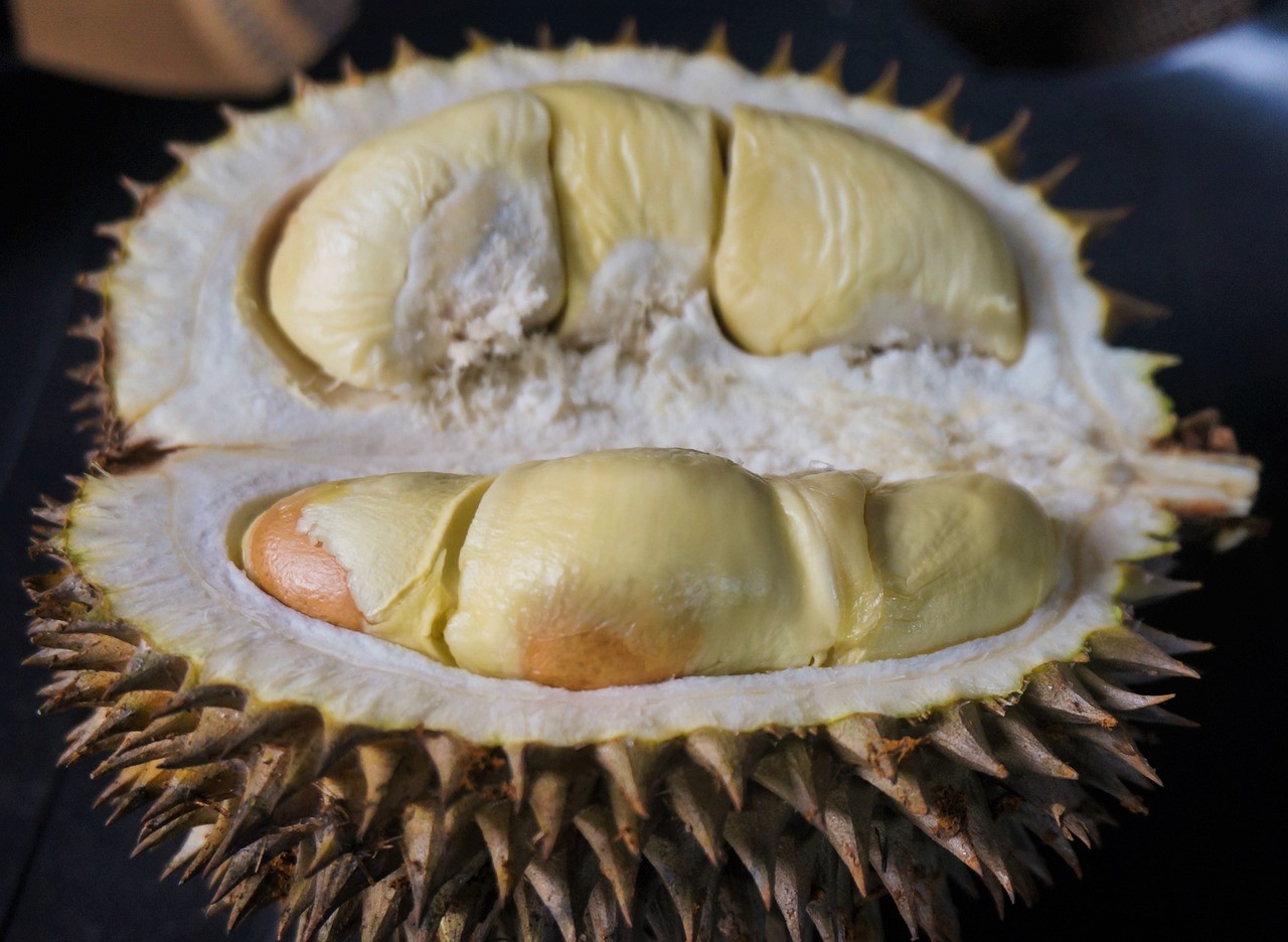 durian-thailande
