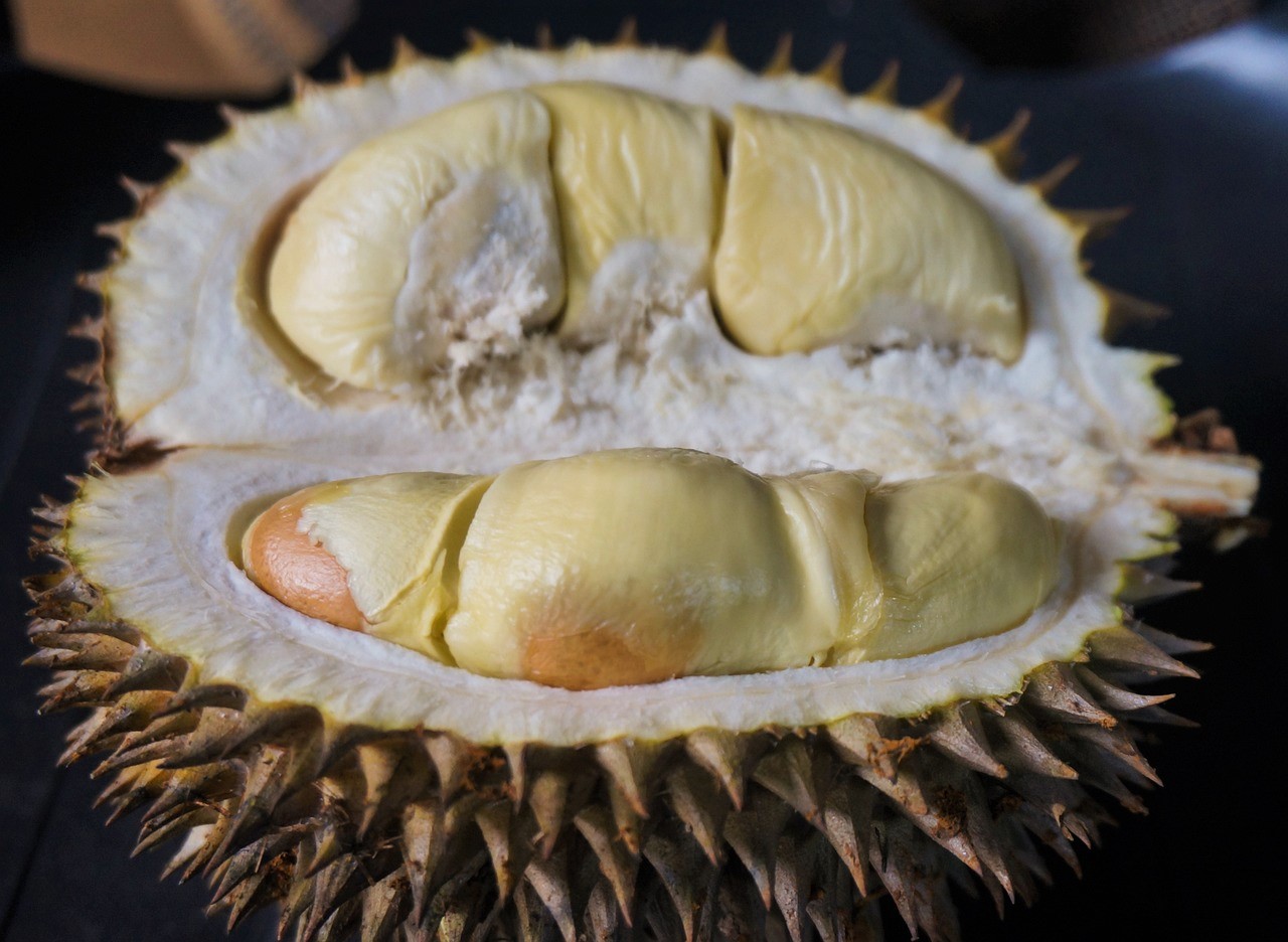 https://theo-courant.com/images/2023/02/durian-thailand.jpg