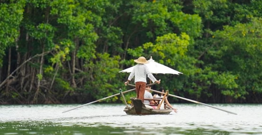 Bangkok: Koh Chang et explorer la mangrove