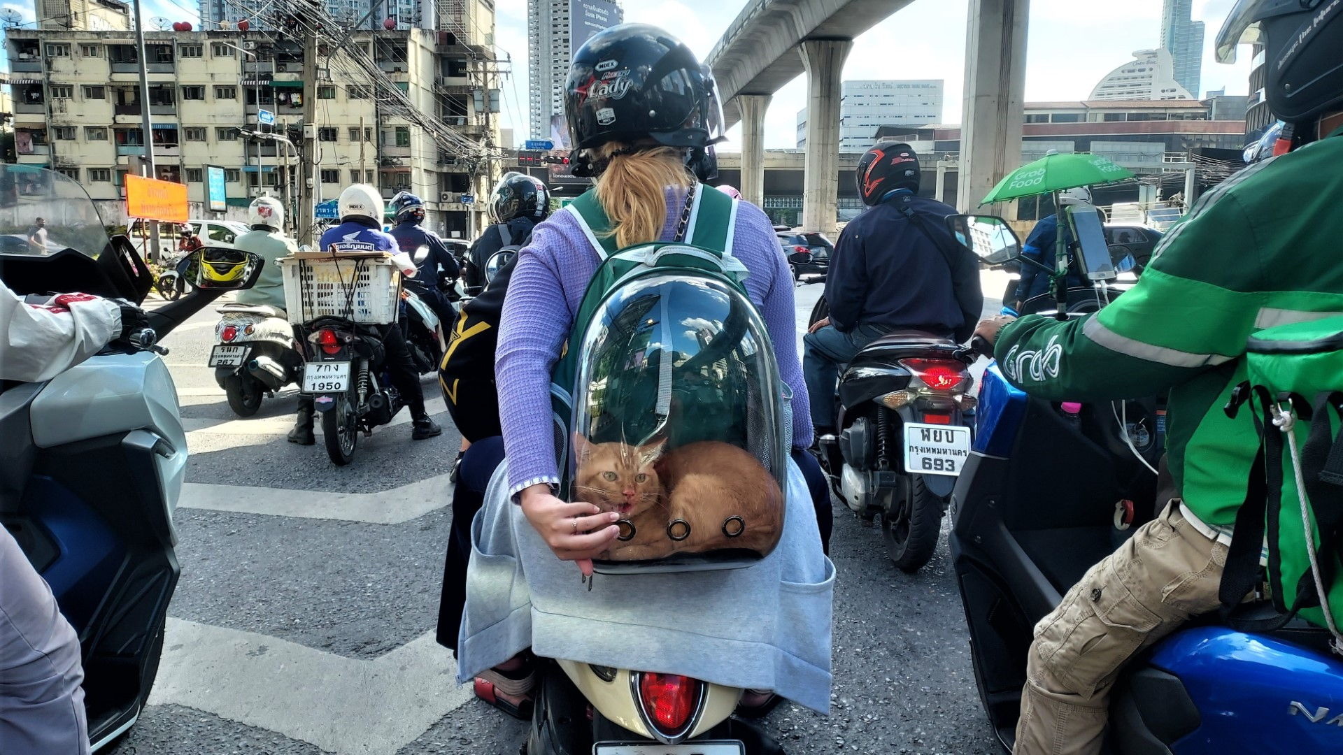 Les transports individuels : moto et auto